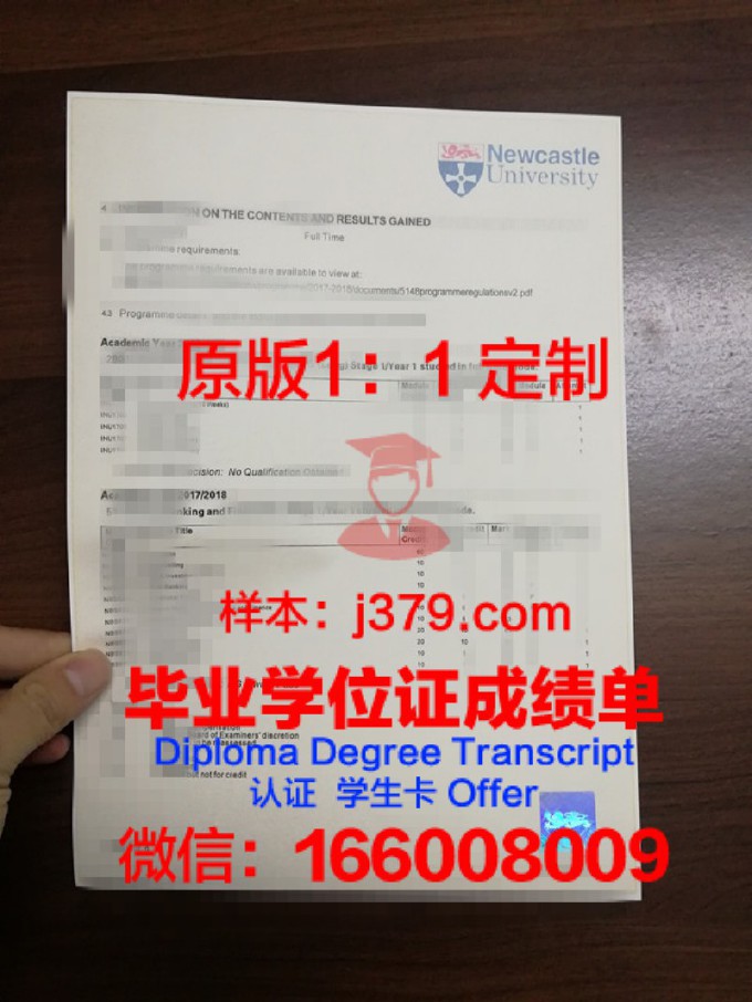 铃鹿大学成绩单