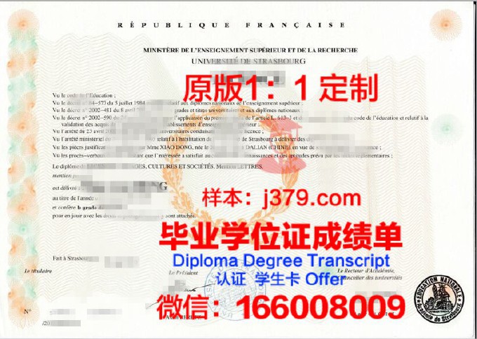 斯特拉斯堡大学欧洲化学聚合物与材料学院研究生毕业证书(斯特拉斯堡管理学院)