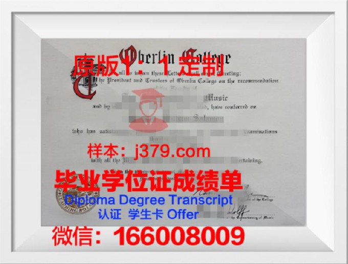 柏林艺术大学文凭(柏林艺术大学本科)