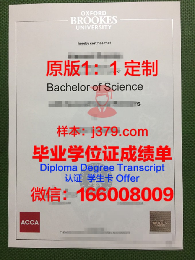 布鲁克斯大学硕士学位证书范本(布鲁克斯大学硕士学位证书范本是什么)