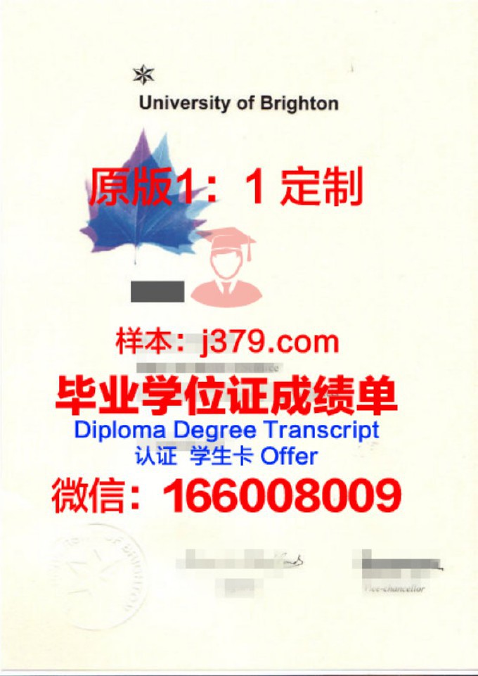 布莱顿大学的毕业证啥样(布莱顿大学本科申请条件)