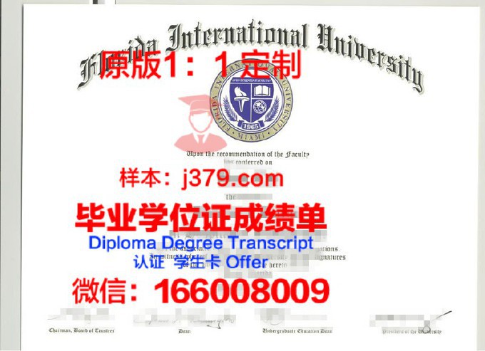 南佛罗里达大学毕业证是什么样呢(南佛罗里达大学留学优势)