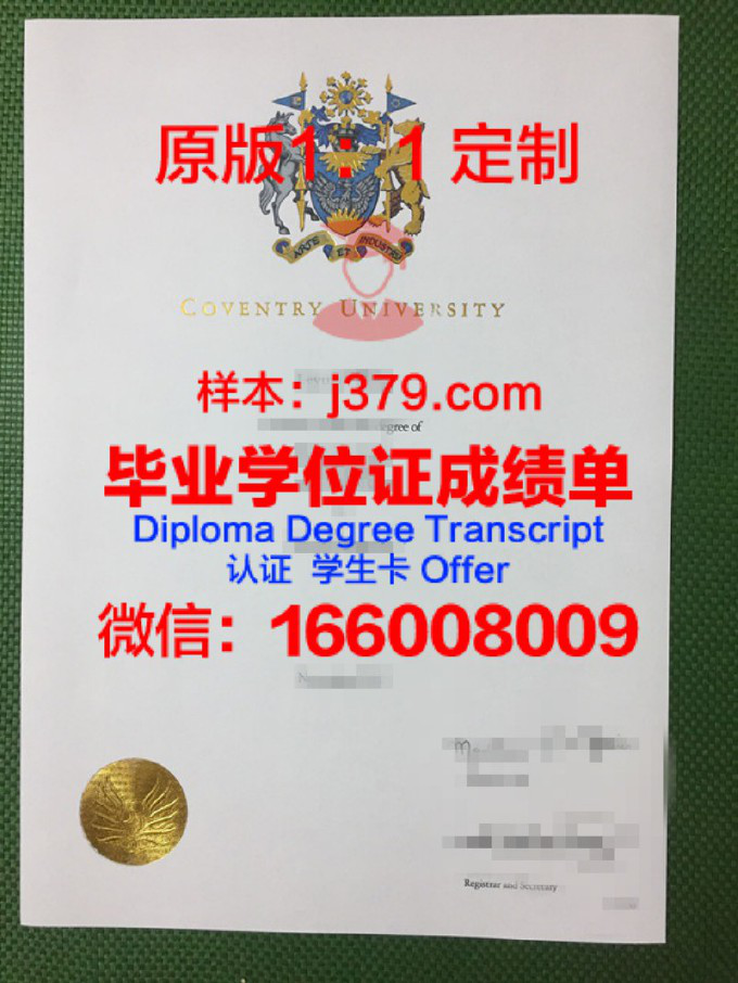 威尼斯大学博士毕业证书(威尼斯大学offer)