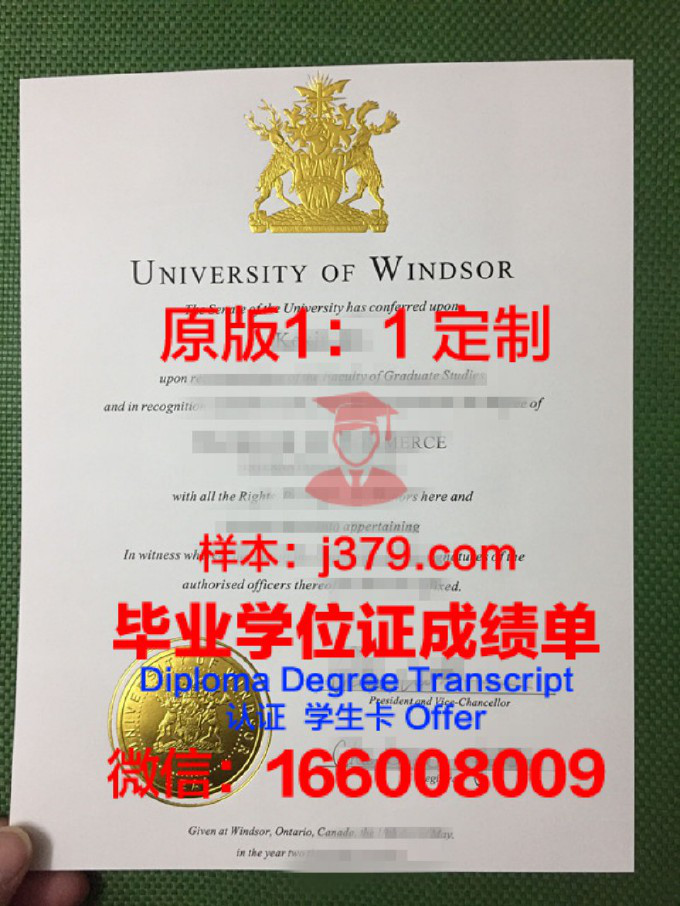 温莎大学拿不了毕业证(温莎大学本科申请条件)