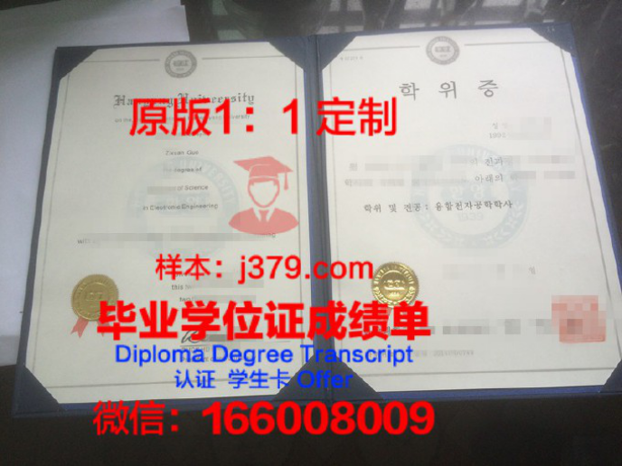 华科大学位证成绩单怎么打印出来