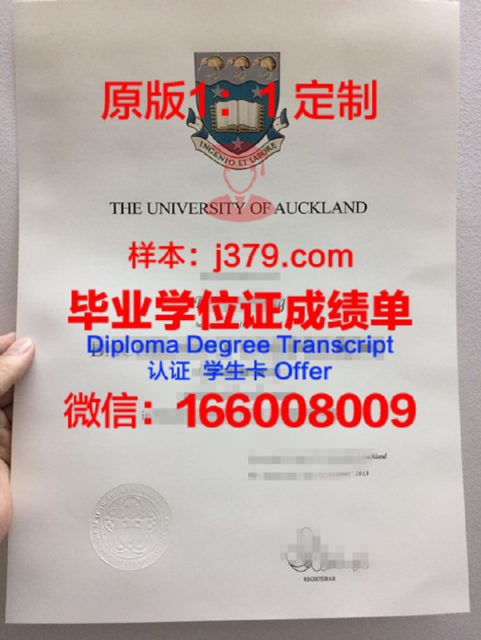 新西兰商学院本科毕业证——开启全球化视野的金钥匙