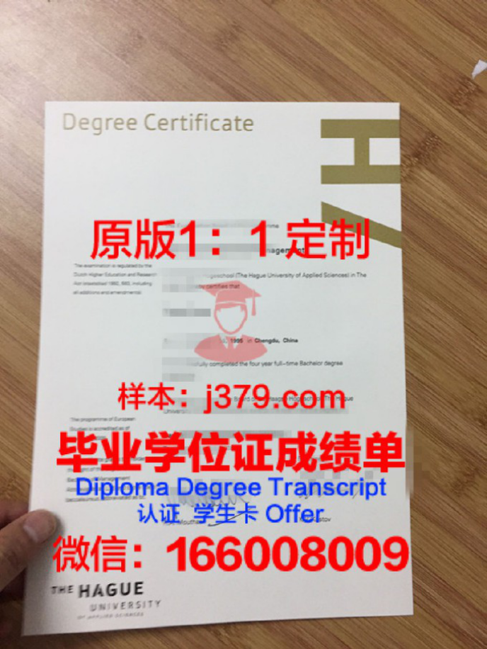 海牙应用科学大学博士毕业证书：一份国际认可的学术荣耀