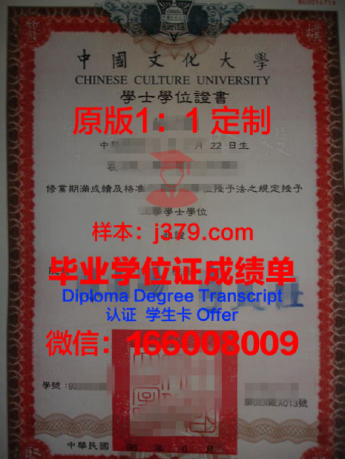 探秘中国石油大学博士奖学金——激发学术潜能，助力科研梦想