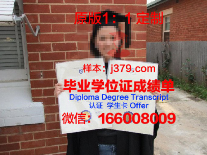 南澳大学毕业率解读：高素质人才培养的摇篮